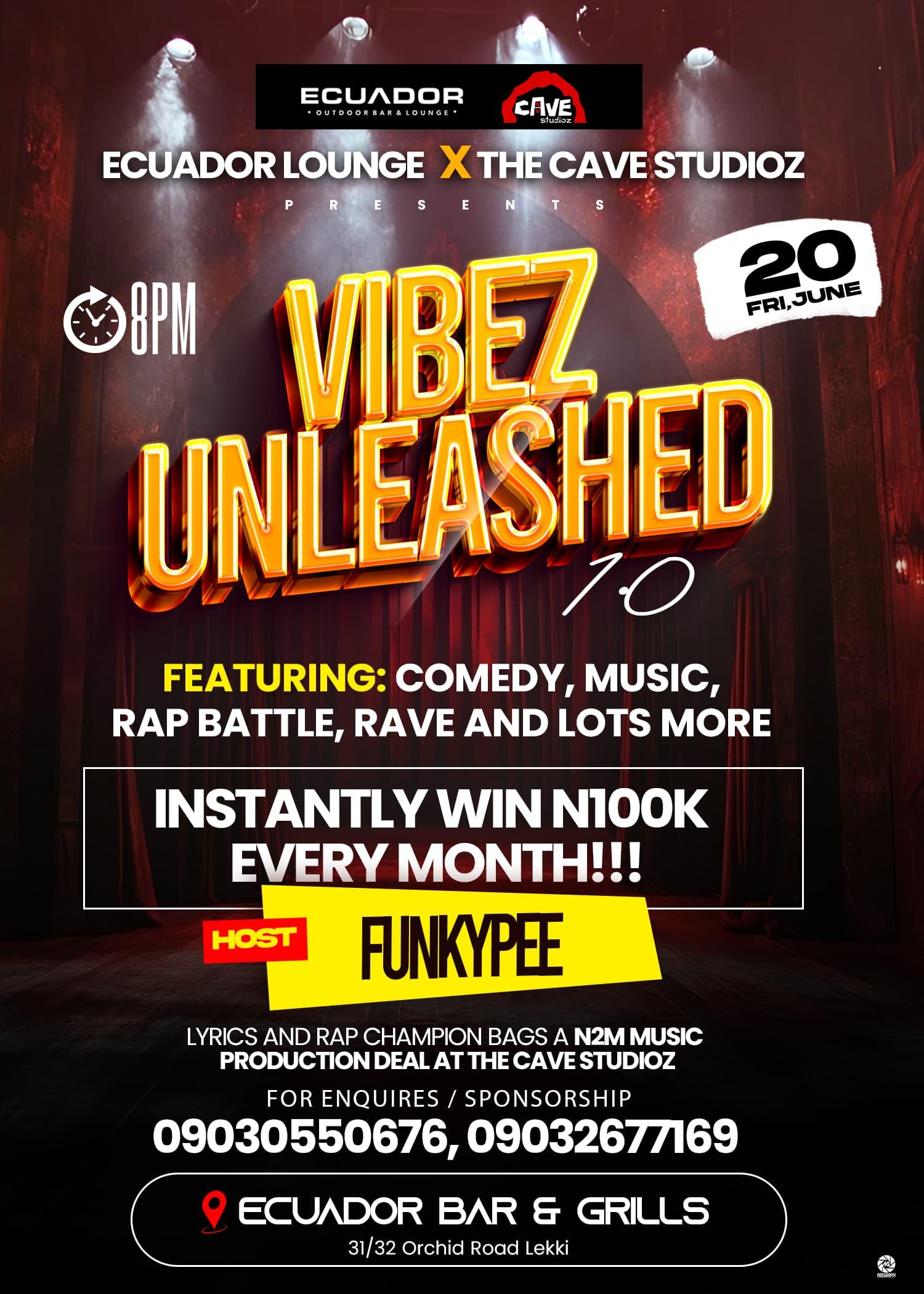 VYBEZ UNLEASHED's banner